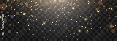 Magical light dust with a soft glow. Floating particles of light. A Christmas light effect with sparkling fairy dust shining on a transparent background. Vector illustration in PNG format