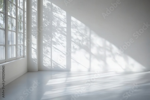 Sunlight streams through a window  casting soft shadows on the white wall and floor.