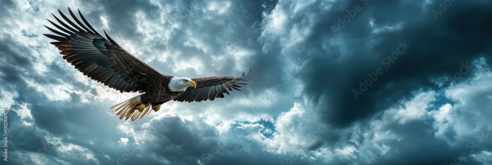 Obraz premium a bald eagle flying in a stormy cloud sky