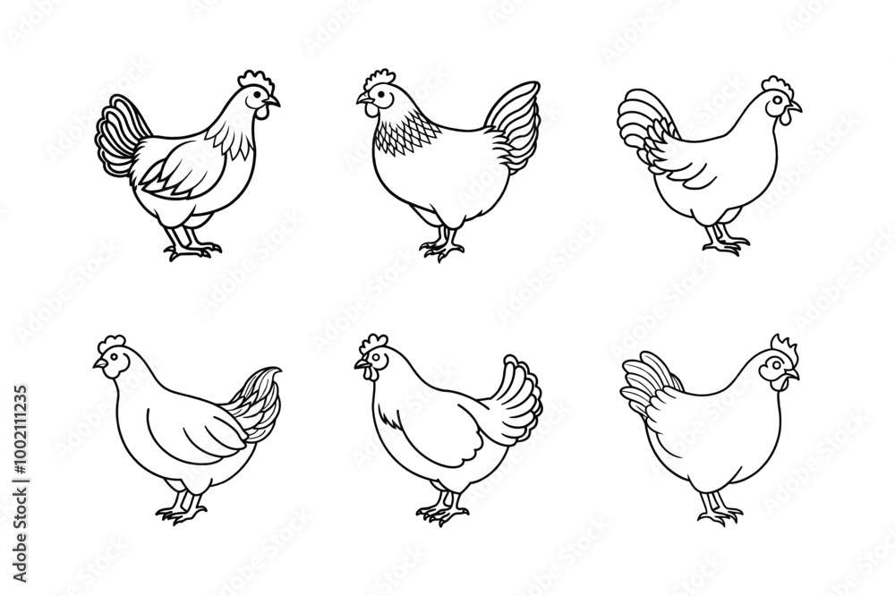 Fototapeta premium Chicken icon set illustration. Chicken icon illustration white background.