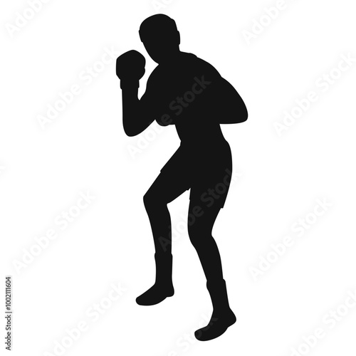 Boxer Silhouette Vector