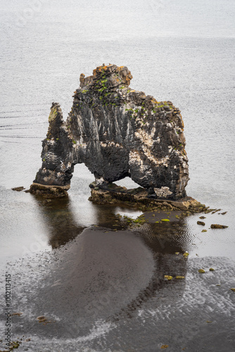 Hvitserkur, Basalt Stack in Northwest Iceland photo