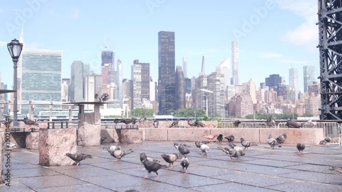 New York City waterfront skyline, Manhattan midtown, riverfront skyscrapers by East river water. Waterside cityscape view from Gantry Plaza dock pier, Long Island, Queens. United States architecture.