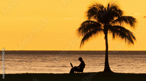 person in silhouette is working on laptop by shore, surrounded by serene sunset and palm tree, creating peaceful and inspiring atmosphere photo