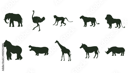 Photography Animal Silhouette SET