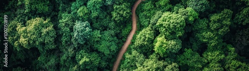 Aerial View of a Serene Pathway Cutting Through Lush Green Forest Canopy on a Sunny Day