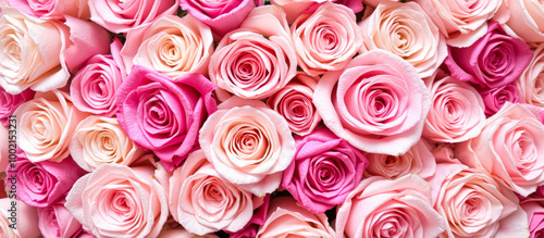 Delicate Pink Roses Bouquet