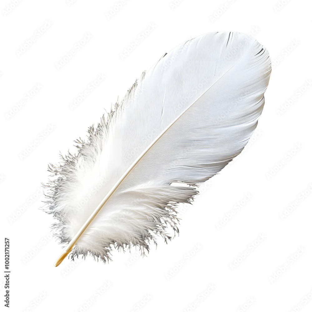 Fototapeta premium White feather isolated on transparent background.