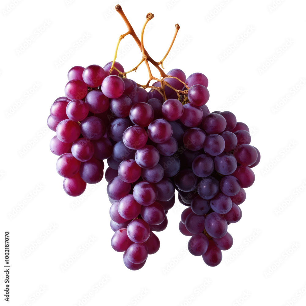 bunch of grapes in transparent background bunch of grapes in transparent background