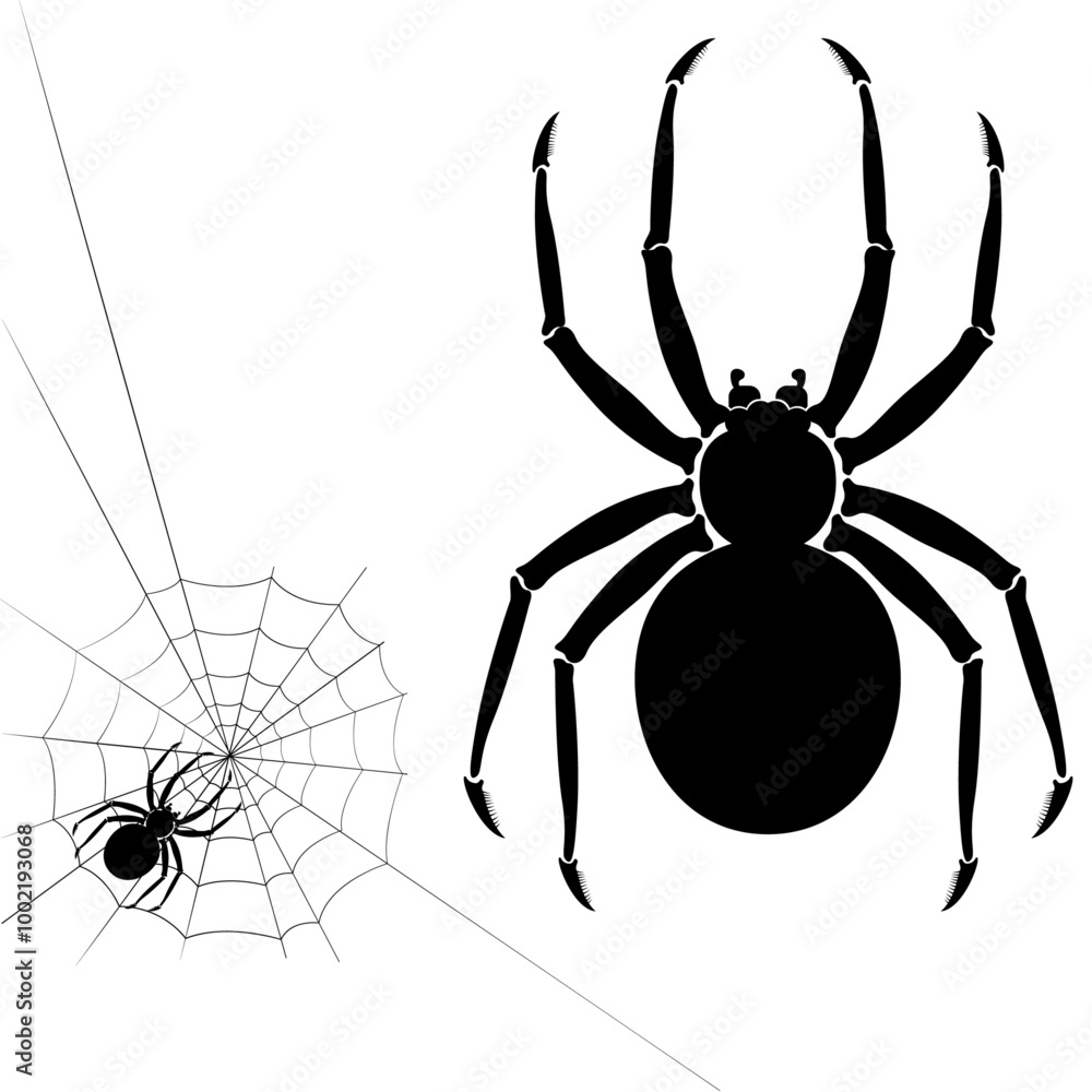 Obraz premium Halloween Decoration Spider on Web