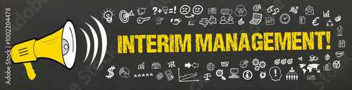 interim management!