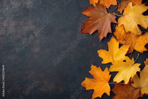 Vibrant Autumn Canopy, A stunning array of colorful maple leaves against a dark backdrop, showcasing the beauty of fall foliage.