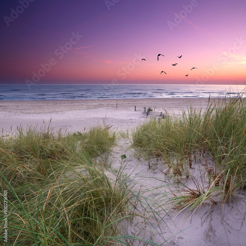 Fototapeta Naklejka Na Ścianę i Meble -  magical sunset on the beach on the way threw the dunes	
