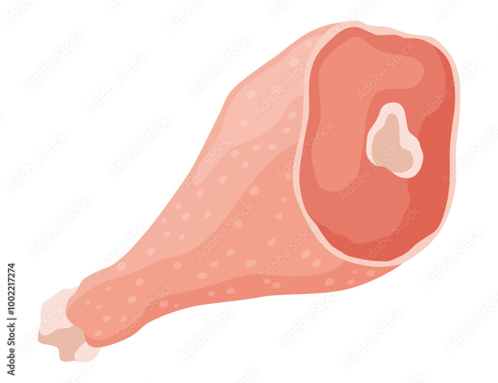 An educational illustration showcasing the cut and part of raw chicken meat An educational illustration showcasing the cut and part of raw chicken meat