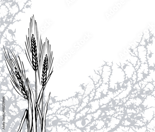 A Bible parable. The grain fell into the thorns. Vector drawing