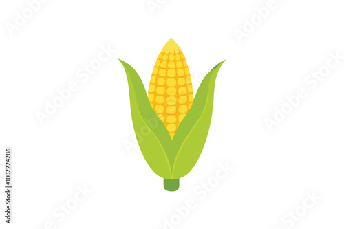  Cute Corn Ash vector art illustration photo