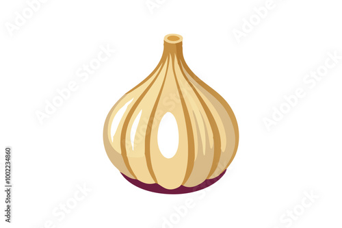 Nice onion vector art illustration