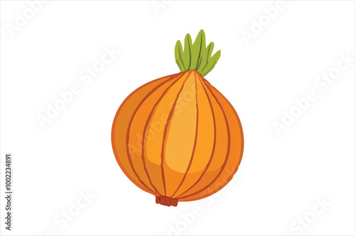 Onion vector art and illustration