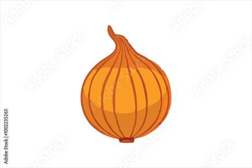 Onion vector art and illustration