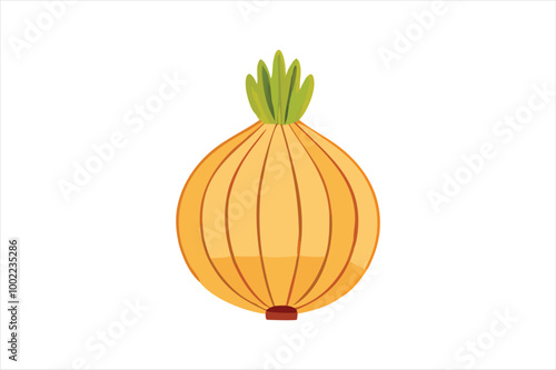 Onion vector art and illustration