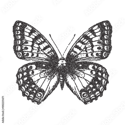 Vector butterfly trendy retro photocopy grain effect. Modern stipple dots texture for design art.