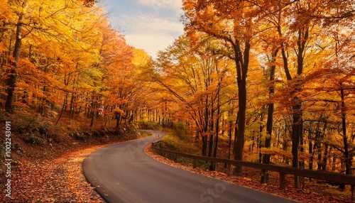 Autumn road through golden leaves