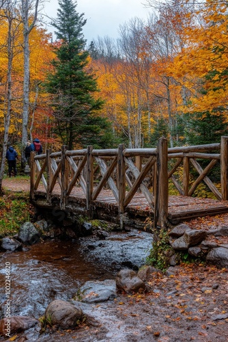 A serene wooden bridge over a creek in a colorful autumn forest on a foggy day