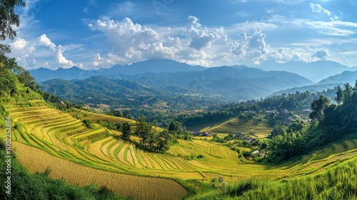 The scenic hike through the mountains surrounding Chiang Mai, with views of terraced rice paddies and small villages.