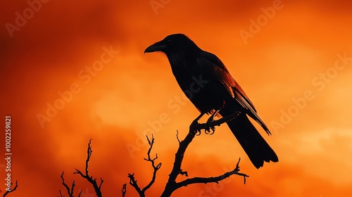   A black bird perches atop a tree branch, framing an orange sky and cloudy backdrop