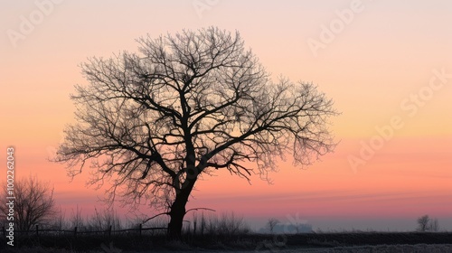 Silhouette of a Bare Tree in Winter Twilight