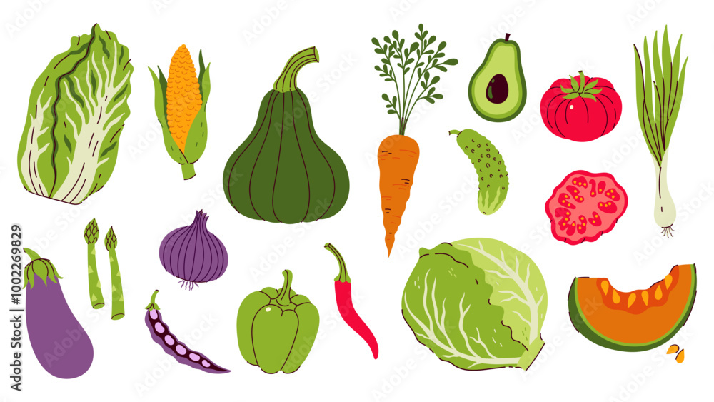 Set of different vegetables isolate on white background. Vector graphics. Set of different vegetables isolate on white background. Vector graphics.