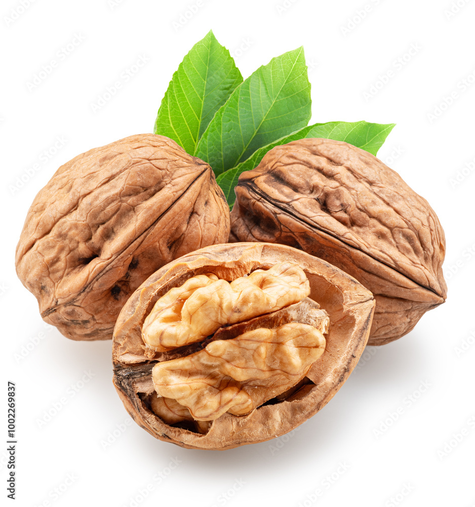 Whole walnuts, broken walnut with kernel and green leaves isolated on white background. Clipping path. Whole walnuts, broken walnut with kernel and green leaves isolated on white background. Clipping path.