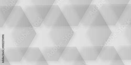 Comprehensive Exploration of Hexagon White Geometry Tiles: Unveiling the Intricate Beauty, Design Versatility, and Modern Applications of Vector Graphics in Contemporary Interior Decor, Architecture