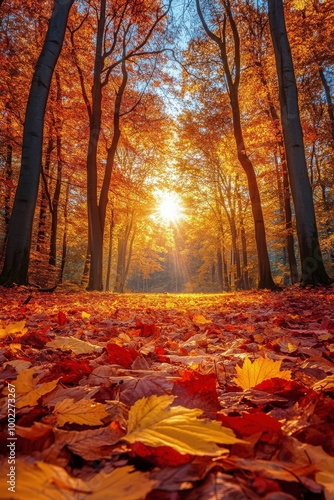 Vibrant autumn landscape with colorful leaves covering the forest floor in th...