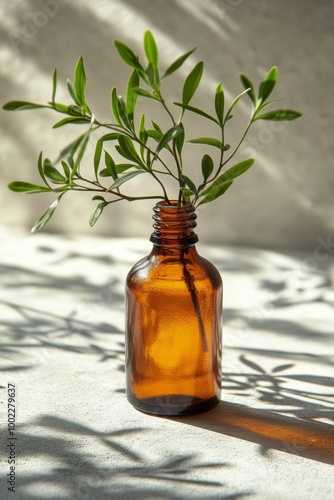 Clear glass bottle with golden liquid on a stone surface by a sunlit window