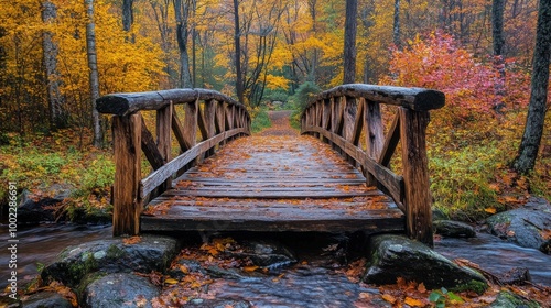 Charming wooden bridge over a stream in an autumn forest with vibrant orange ...