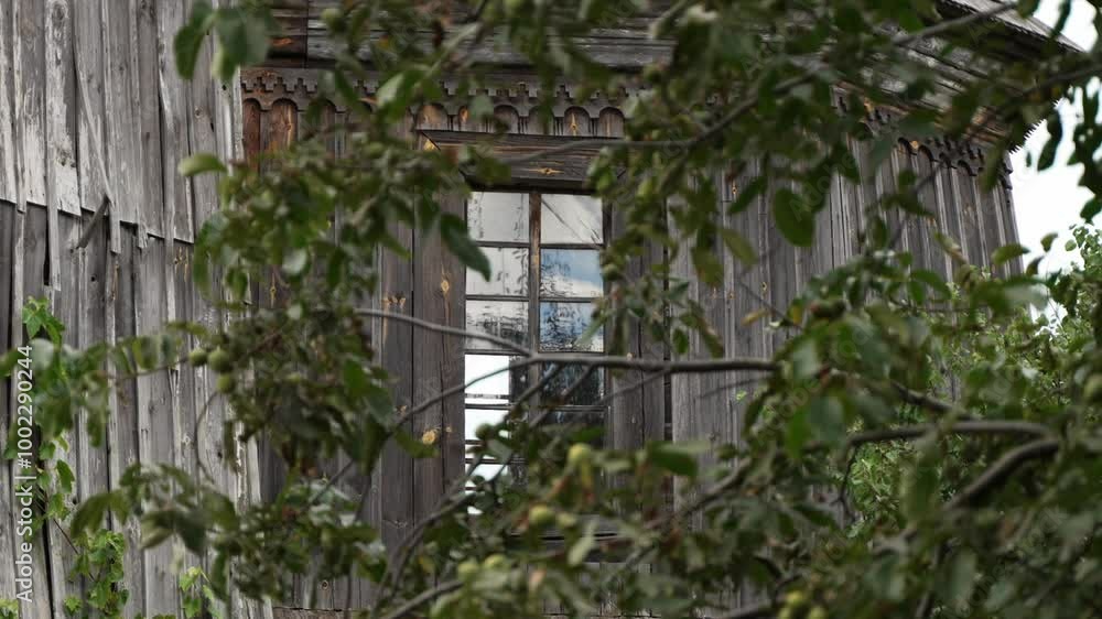 A large window in an ancient wooden church through the branches of a tree. The sky is reflected in the glass of an ancient window of a historical building. A large window in an ancient wooden church through the branches of a tree. The sky is reflected in the glass of an ancient window of a historical building.