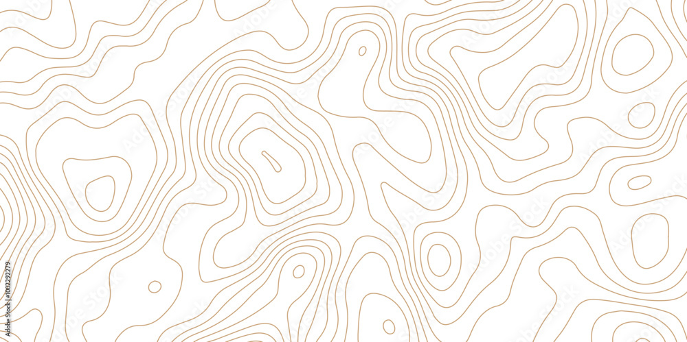 White topography topology texture wavy contour map texture design graphics old map texture smooth curved lines abstract background design wallpaper for desktop White topography topology texture wavy contour map texture design graphics old map texture smooth curved lines abstract background design wallpaper for desktop