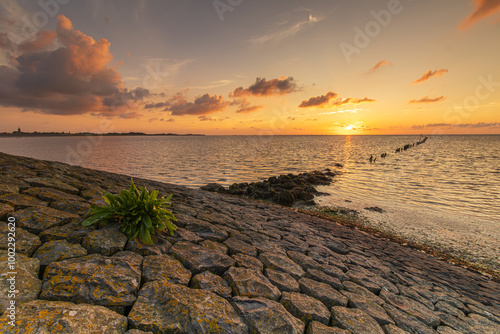 Wallpaper Mural Enjoying the colorful sunset over the Wadden Sea near Den Oever. On the dike at Den Oever, overlooking the Wadden Sea, one can enjoy the tranquility, vastness, and orange glow of the setting sun Torontodigital.ca