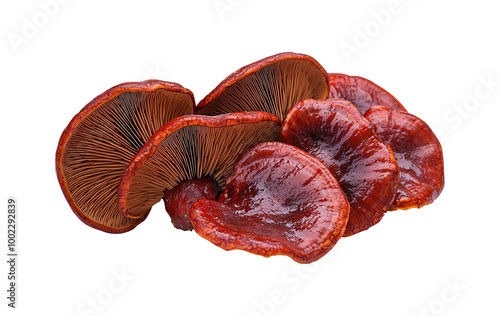 Red Reishi mushrooms, PNG photo