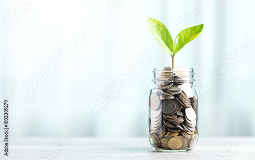 Glass jar filled with coins, with a small seedling growing in the center, placed on a table against a bright white backdrop. The image represents the concept of saving and financial growth for future