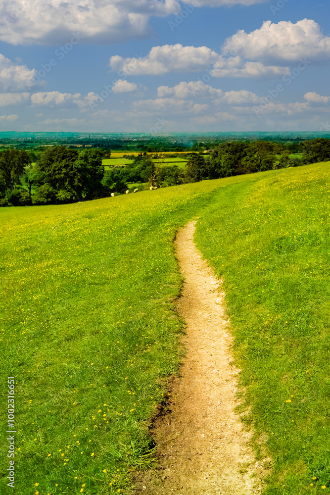 Obraz premium The chitern hills buckinghamshire england uk