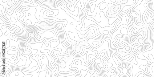 Thorough Examination of Topography and Topology: An In-Depth Analysis of the Role and Significance of White in Geometric Design, Cartography, and Spatial Representation, Exploring Its Impact