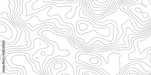 Thorough Examination of Topography and Topology: An In-Depth Analysis of the Role and Significance of White in Geometric Design, Cartography, and Spatial Representation, Exploring Its Impact