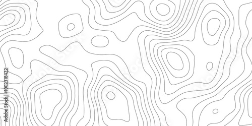 Thorough Examination of Topography and Topology: An In-Depth Analysis of the Role and Significance of White in Geometric Design, Cartography, and Spatial Representation, Exploring Its Impact