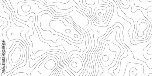 Thorough Examination of Topography and Topology: An In-Depth Analysis of the Role and Significance of White in Geometric Design, Cartography, and Spatial Representation, Exploring Its Impact