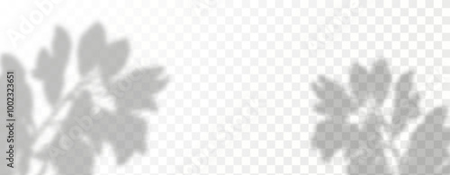 Glare from the sun's rays on the wall. Blurred shadows from leaves and plants in the room. Soft overlay of natural light. 