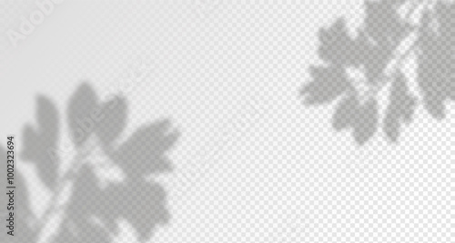 Glare from the sun's rays on the wall. Blurred shadows from leaves and plants in the room. Soft overlay of natural light. 