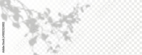 Glare from the sun's rays on the wall. Blurred shadows from leaves and plants in the room. Soft overlay of natural light. 