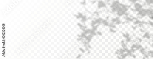 Glare from the sun's rays on the wall. Blurred shadows from leaves and plants in the room. Soft overlay of natural light. 